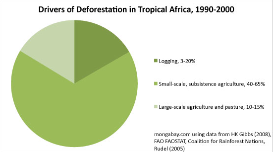 deforrestation causes mongabay